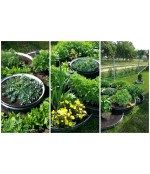 Gredzenveida metāla apmale augiem (100x480 mm), krāsota