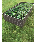 Paaugstinātā dārza dobe KLASIKA GARDEN (1500x750x300 mm) brūna