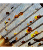 Profilētā polikarbonāta loksne DIAMOND, bronza 2.6x1045 mm