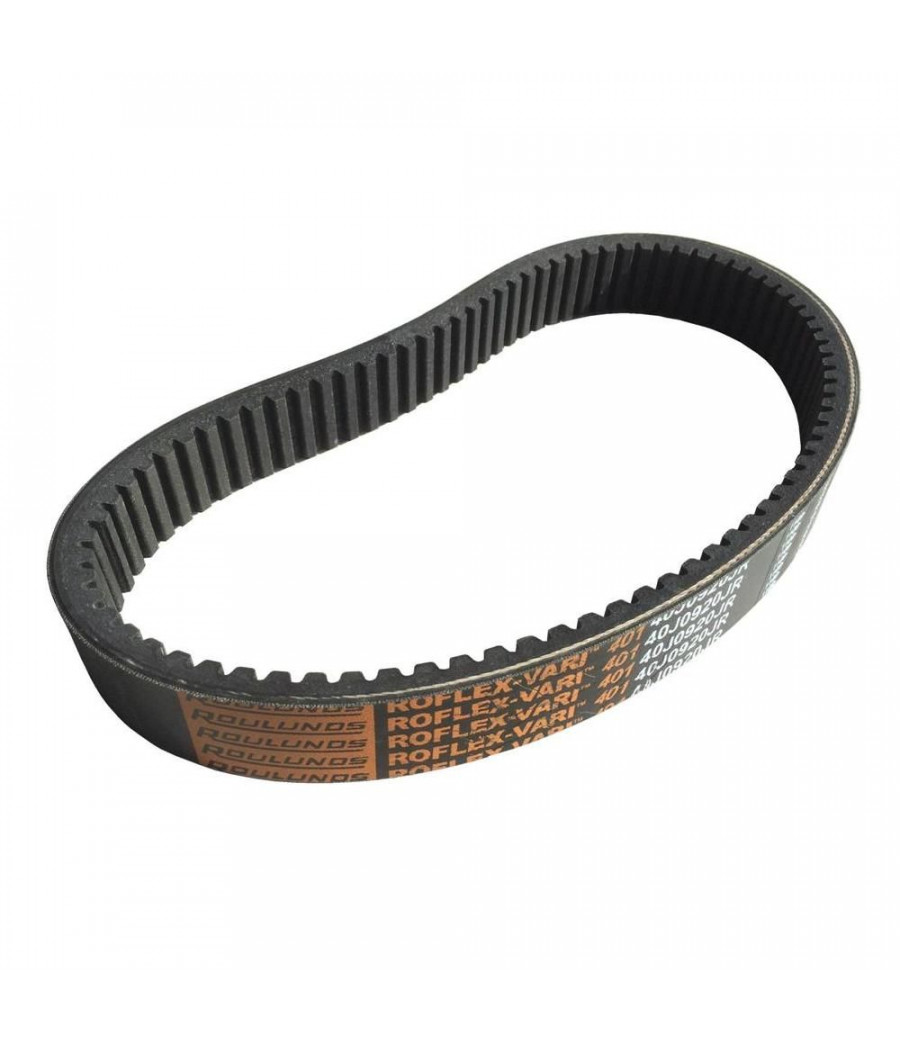 Variatorsiksna 38x2882 Roulunds 401