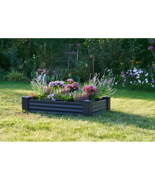 Paceltā dobe 1200x800x275 mm